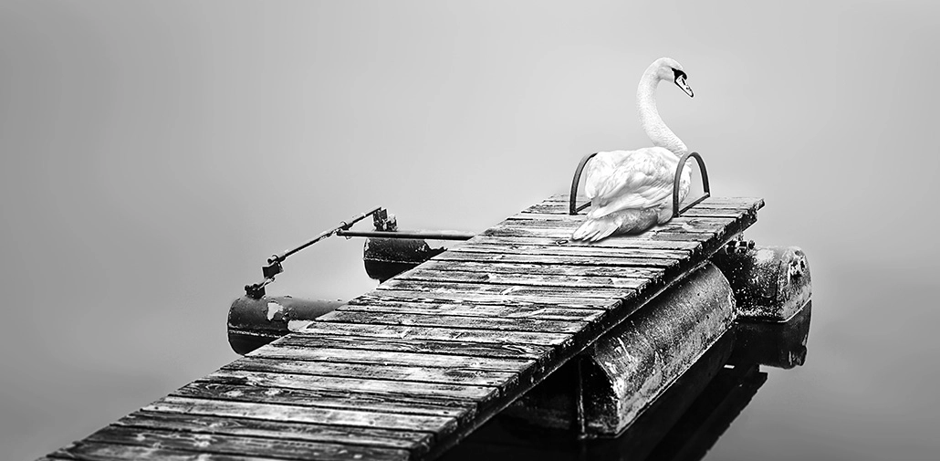 photographe glamour albi